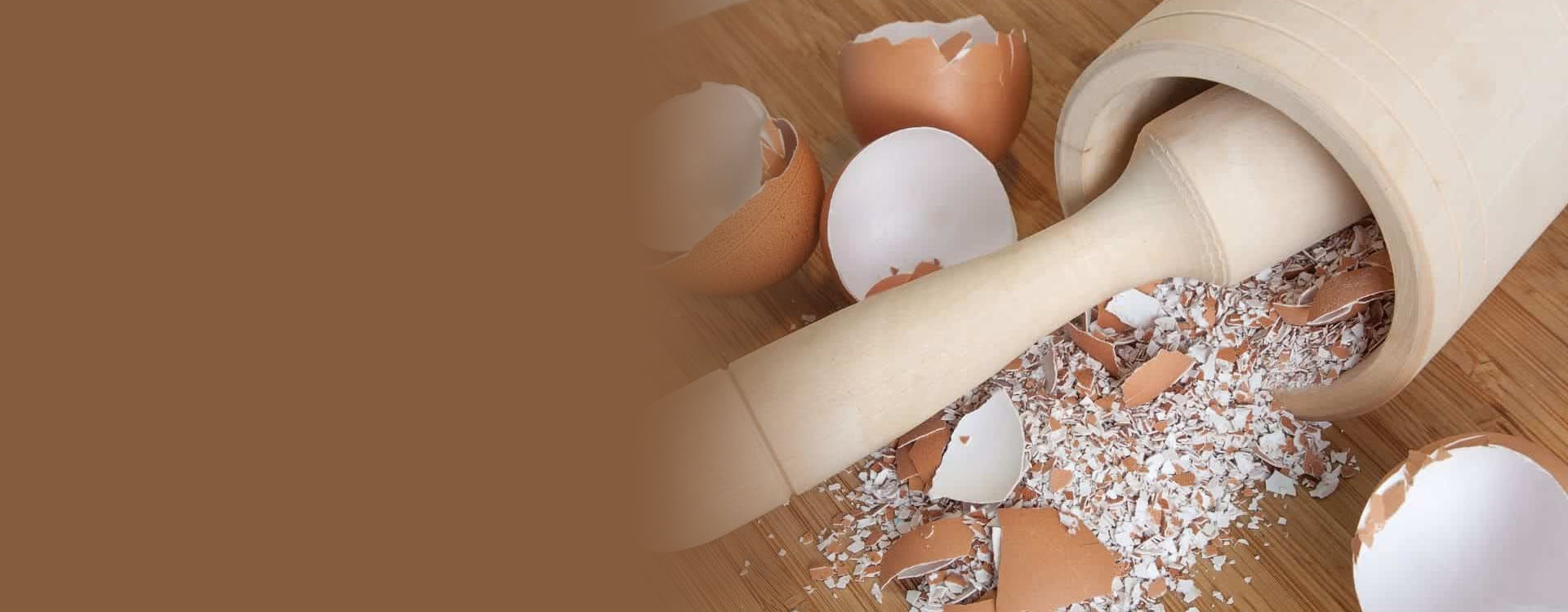 Egg Shell Powder